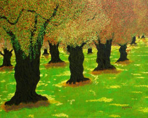 Olive Grove IV