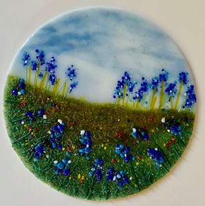 Bluebonnet Fields Forever