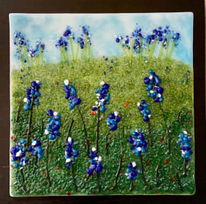 Bluebonnet Fields Forever Series