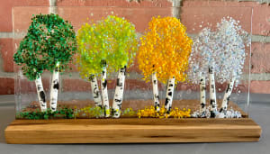 4 Seasons - Aspen
