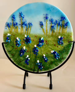 Bluebonnet Fields Forever Series