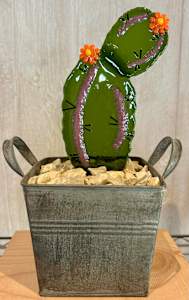 Potted Cacti Series