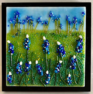 Bluebonnet Fields Forever Series