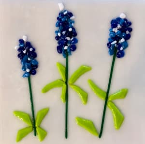 Bluebonnet