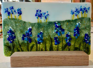 Bluebonnet Field III