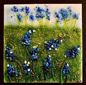Bluebonnet Fields Forever Series