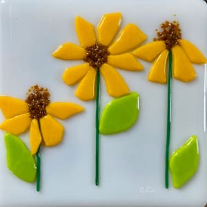 Maximillian Sunflower