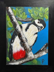 The Great Spotted Female Woodpecker