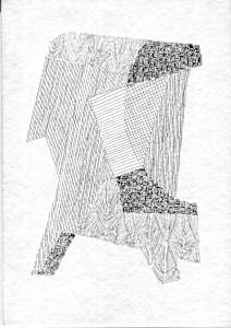 Cangrejo hermitaño VI