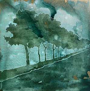 The Avenue