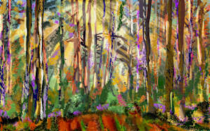 Sunlight through the Pines