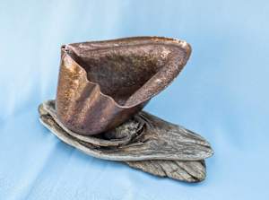 Sea Shell Form