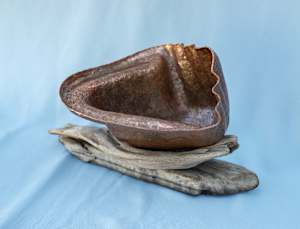 Sea Shell Form