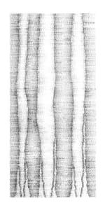 Racines 7211