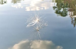 A Brief, Delicate, Suspension