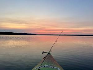 A Quiet Moment on the Water