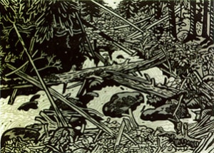 A Creek in Chugach State Park (This Land Doesn't Look Locked Up to Me) Proof 22