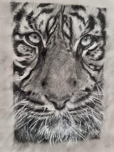 ‘Echoes of the Wild’