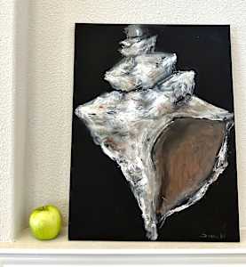 Conch Shell