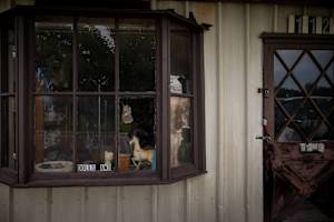 Dolls and