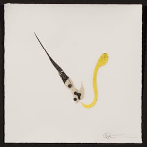 Indeterminance 20121020-1557