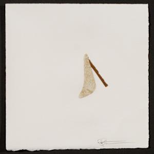 Indeterminance 20121020-1527