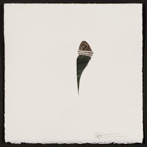 Indeterminance 20121020-1541