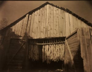 Tobacco Barn