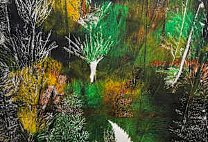 Magical Forest