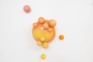 Bubble Garden 4