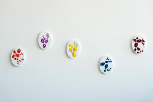 Sugar Blossom Series (Sugar Blossom 1-5)