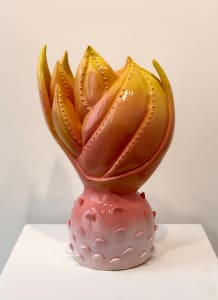 Blushing Plant