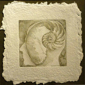 CRANIUM: 'eleMENTAL'