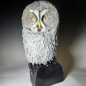 Grey Owl