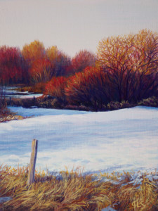 The Marsh in March