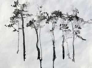 Raintrees