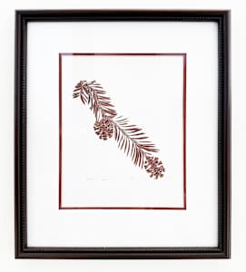 Redwood