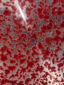 Red Migration