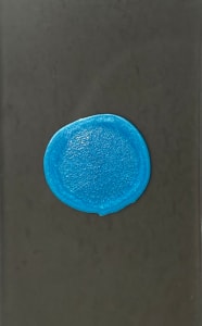 Blue Dot On Flatscreen TV Panel