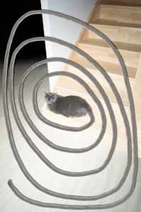 Là d’où je viens