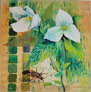 Trillium