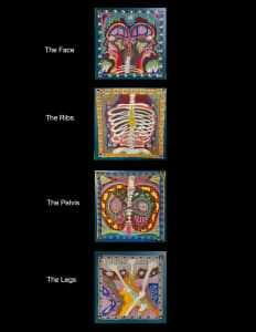 The Body ( lengthwise) All Four Pieces