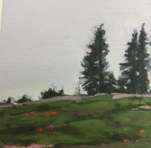 Mt Rainier