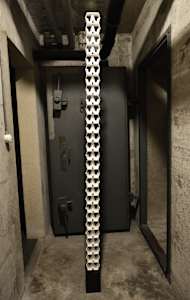 Spine