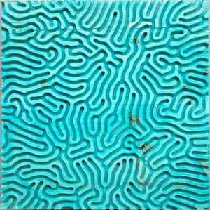 Diffusion/Reaction