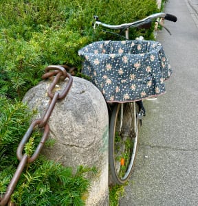 Chain Link