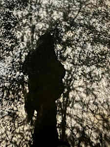 Shadowed