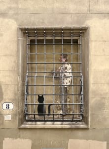 Caged