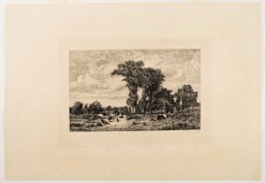 Pasture