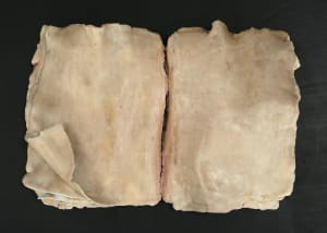 Cher journal